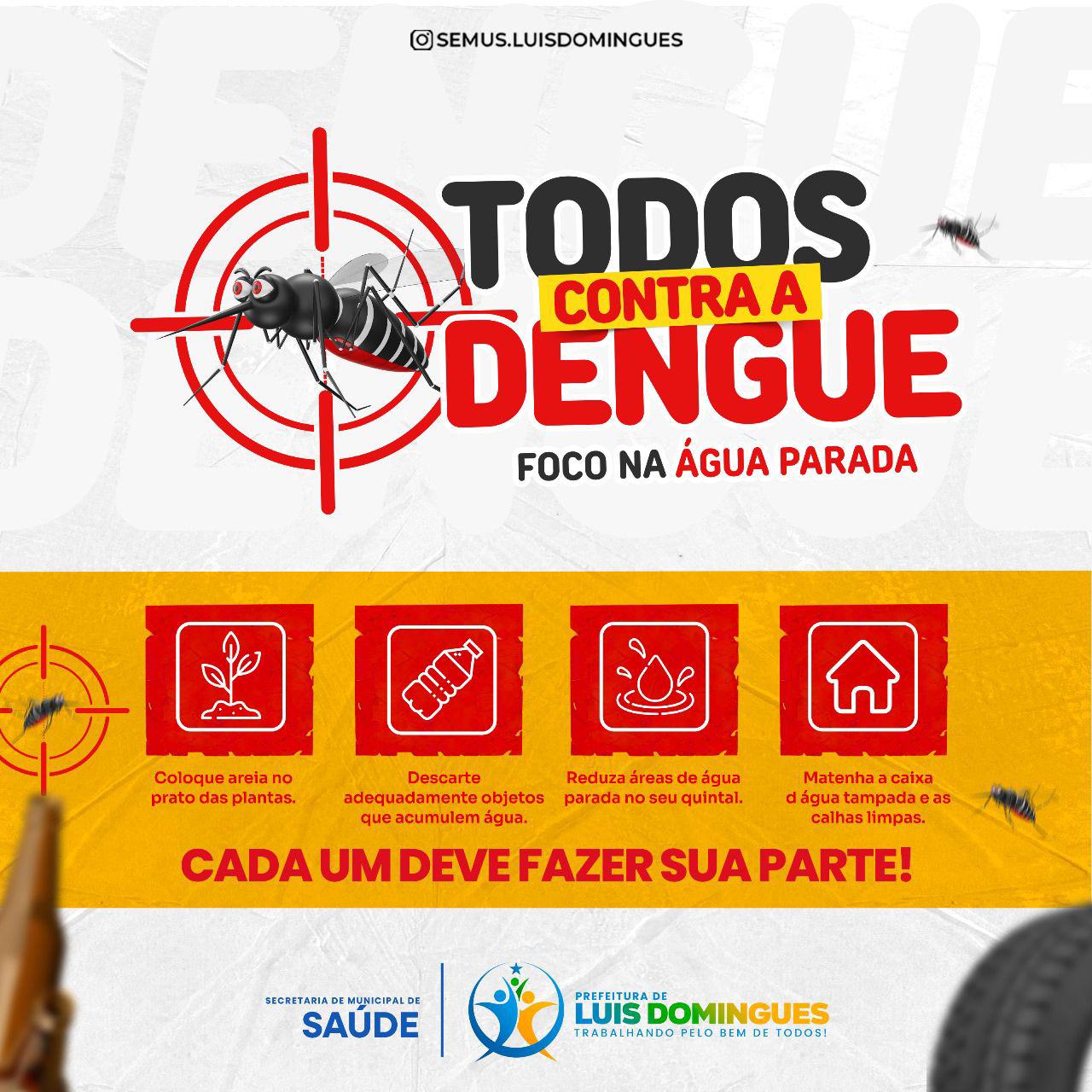 #DENGUE: Luis Domingues contra o Aedes aegypiti